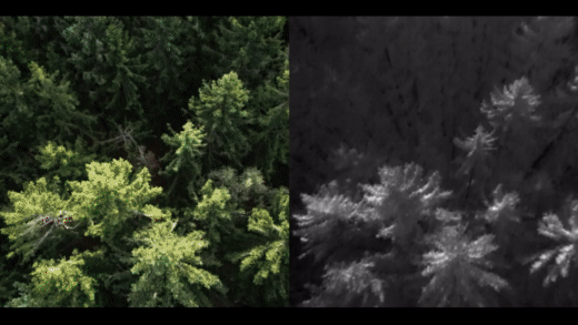 Naukowcy opracowali technologię poszukiwania ludzi z użyciem kamer termowizyjnych na dronach pomiędzy drzewami 3