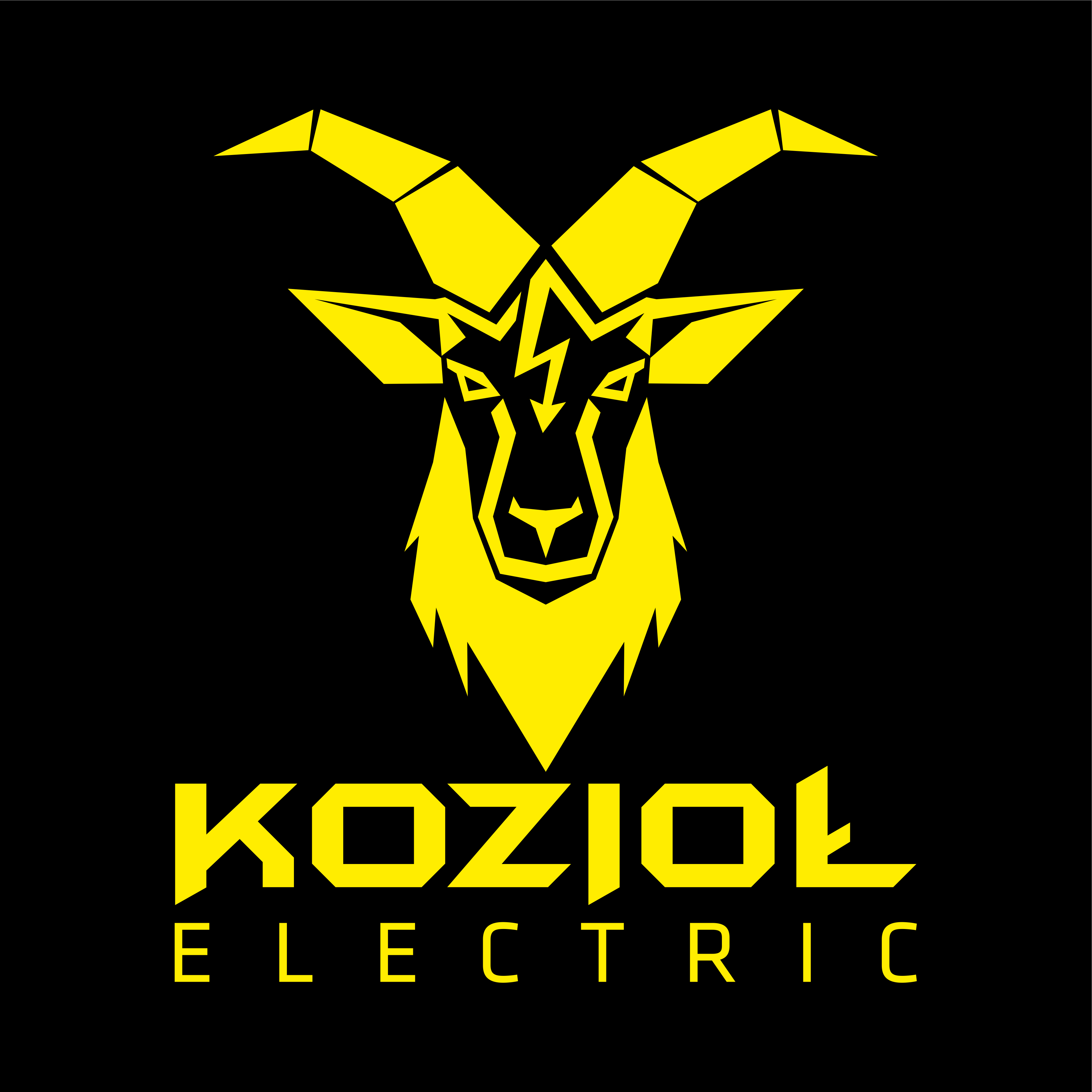 Kozioł Electric Łukasz Kozioł 1